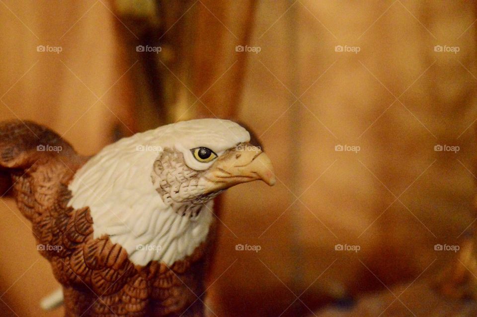 Bald eagle statue with a blurred background 
