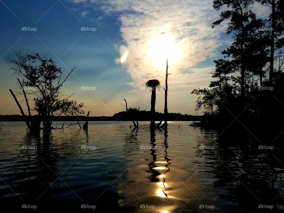 osprey nest with rising sun in the backdrop on lake.