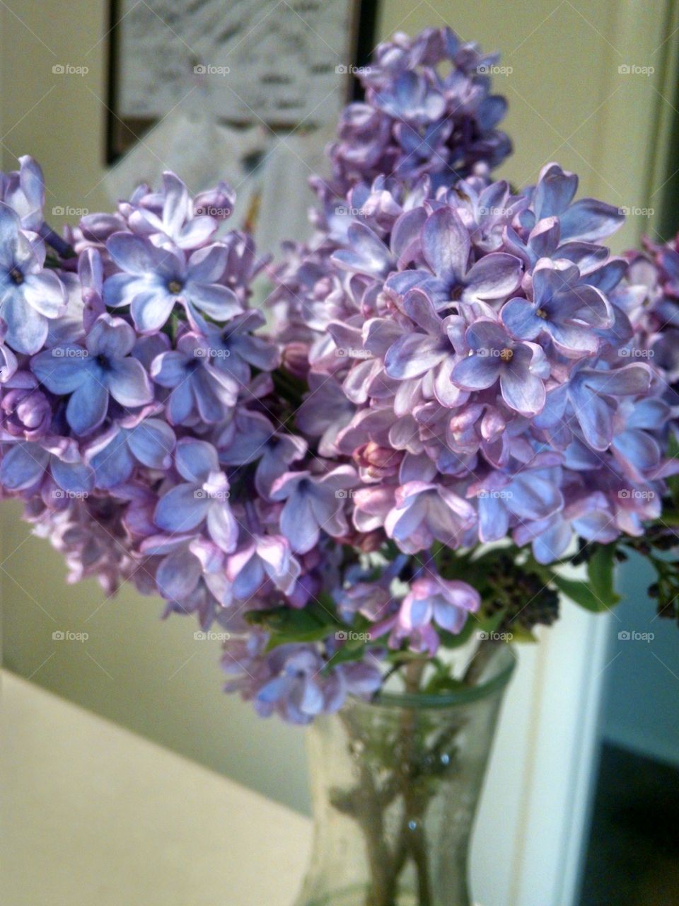 lilacs in the kitchen