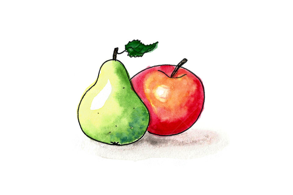 Illustration of Pear and Apple