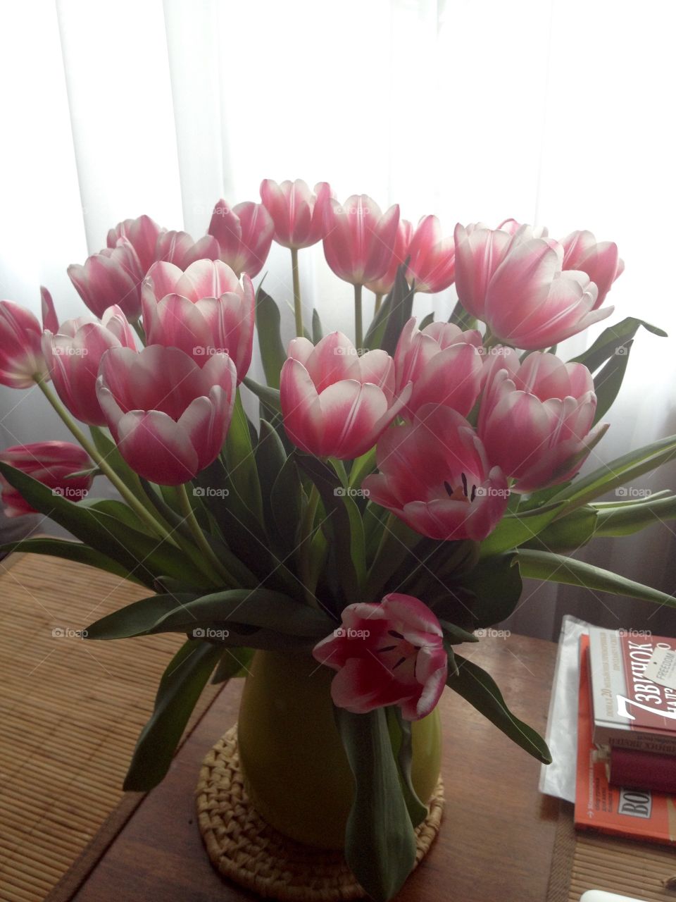 Tulips opening indoors 