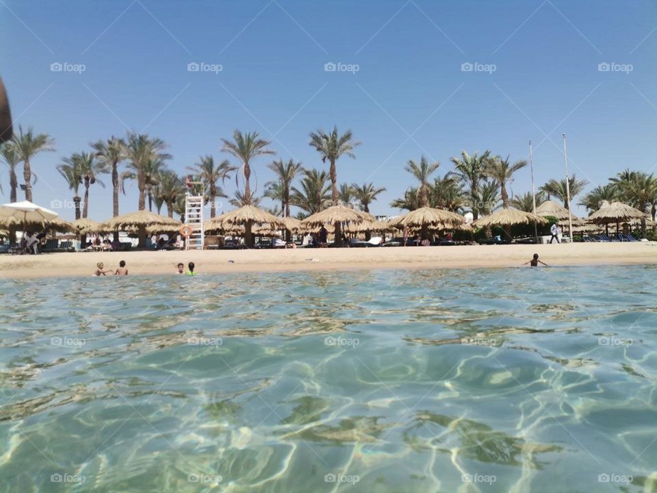 Beach sharm 