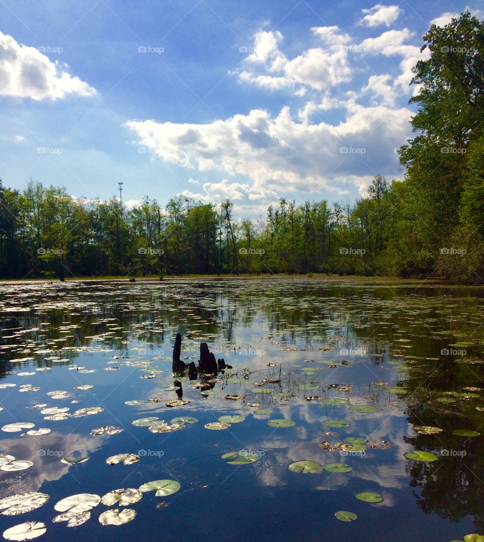 On the water