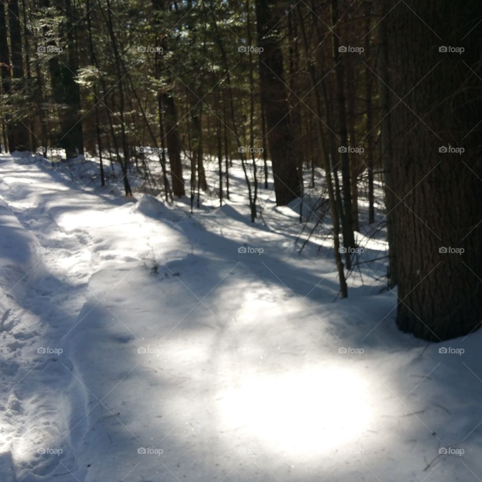 Winter Trails. Maine trails