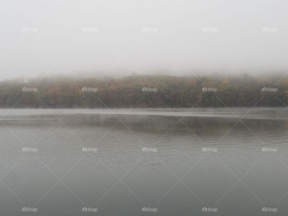 Foggy autumn lake