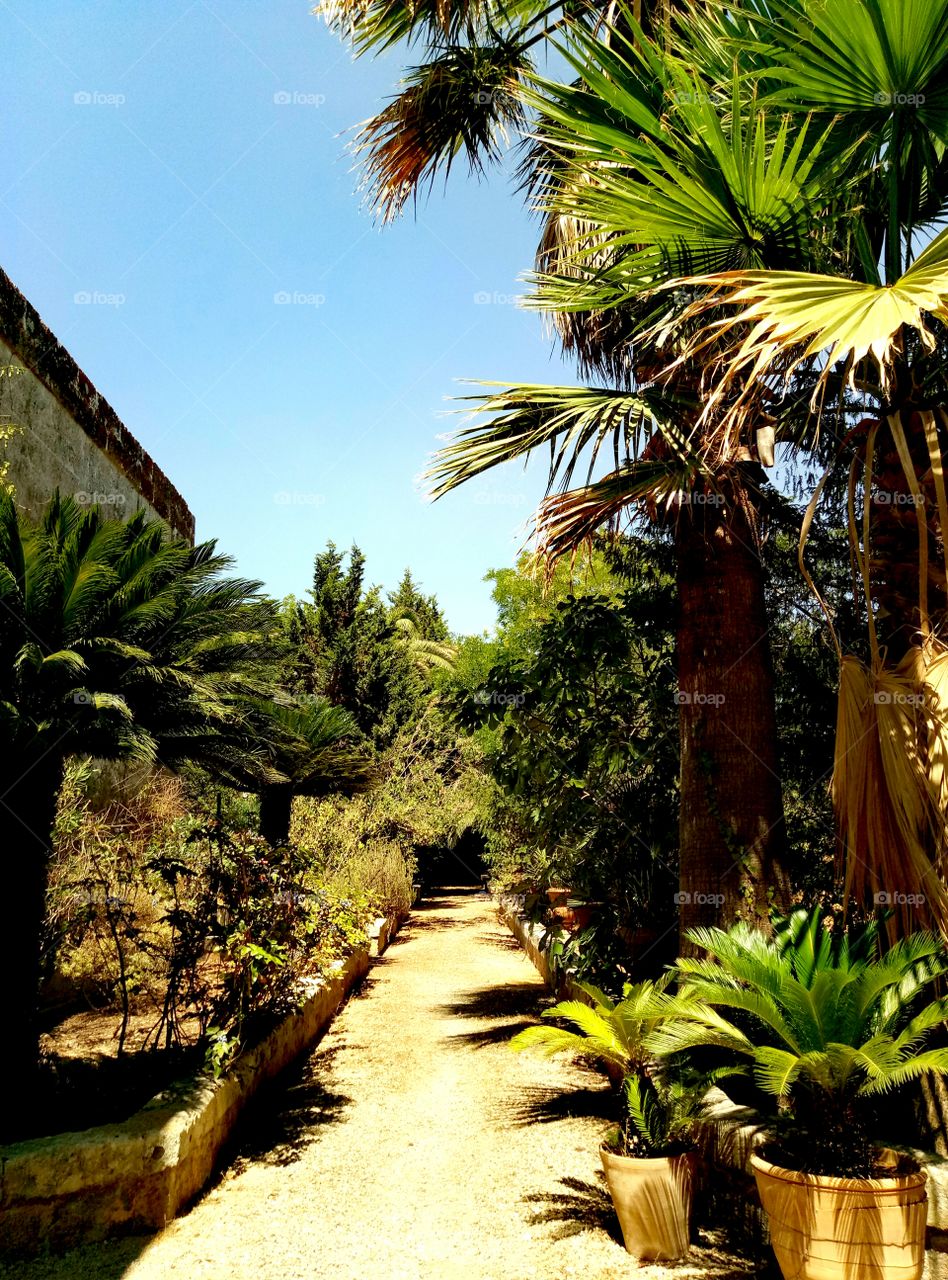 Don't go at the end of the garden.