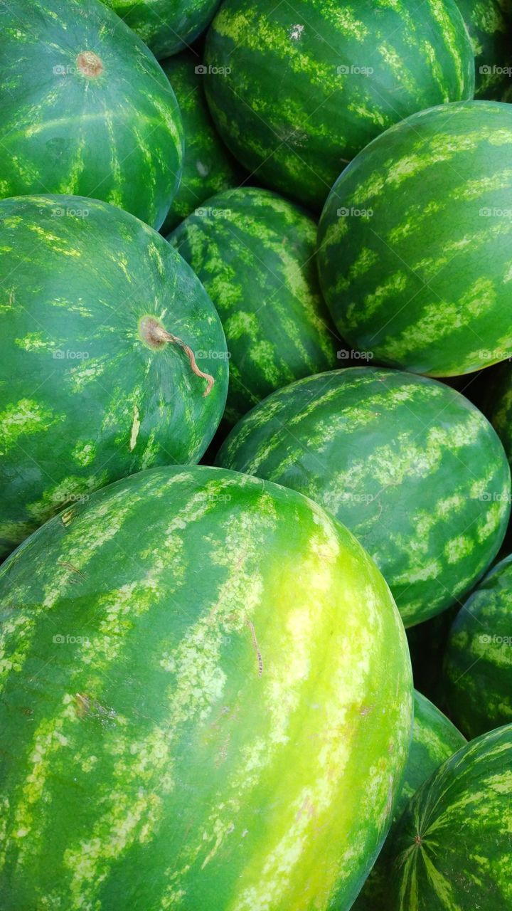 Watermelons!