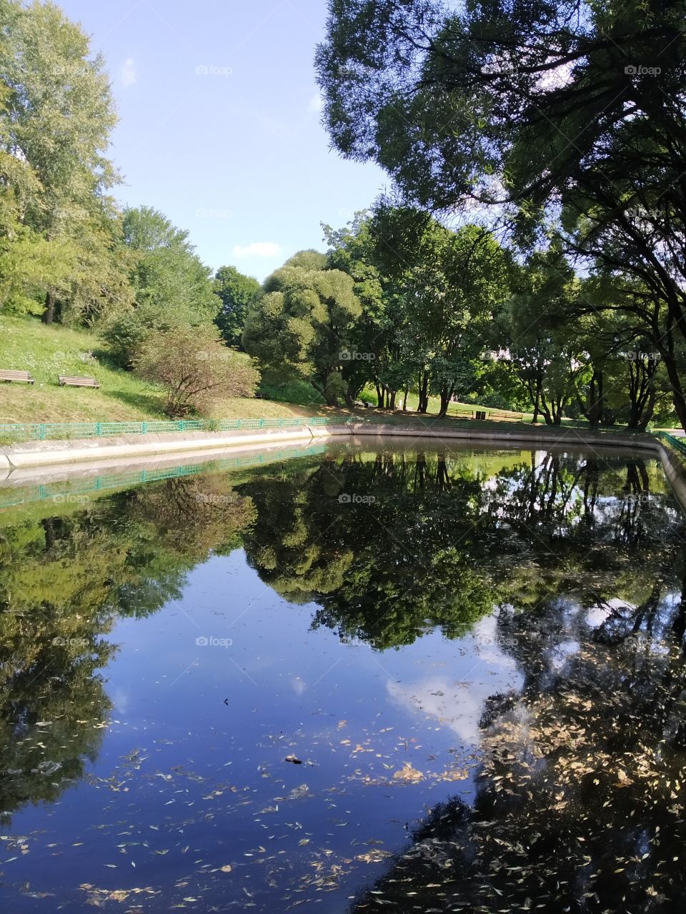 🚤🛥🌎🌞🌳🌄🌝😉