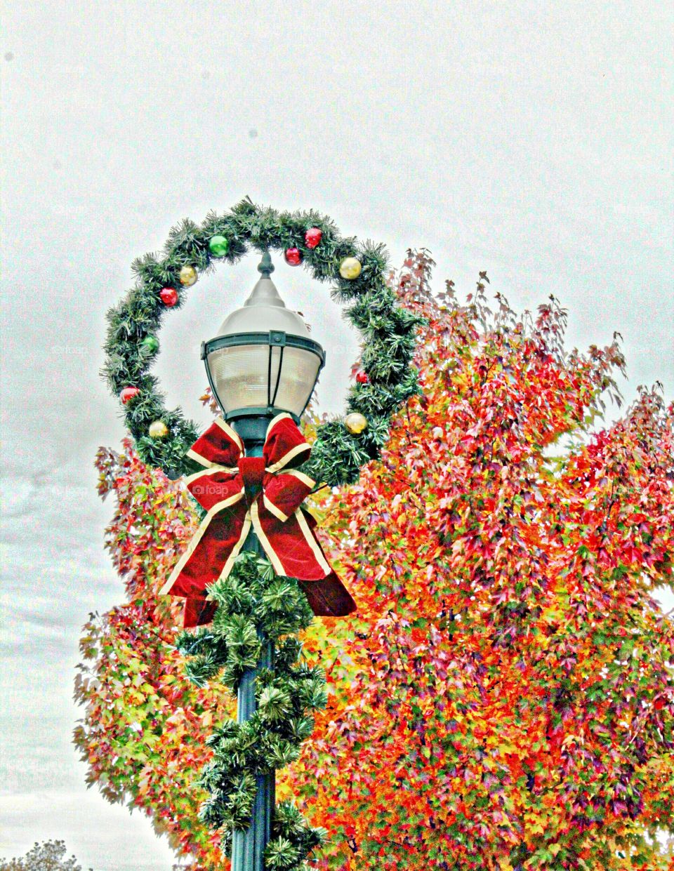 Decoration, Christmas, Tree, Season, Celebration