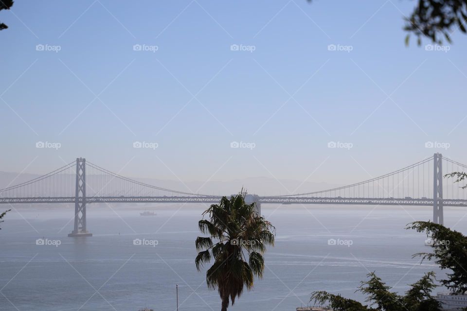 Palm tree against the bridge over ocean