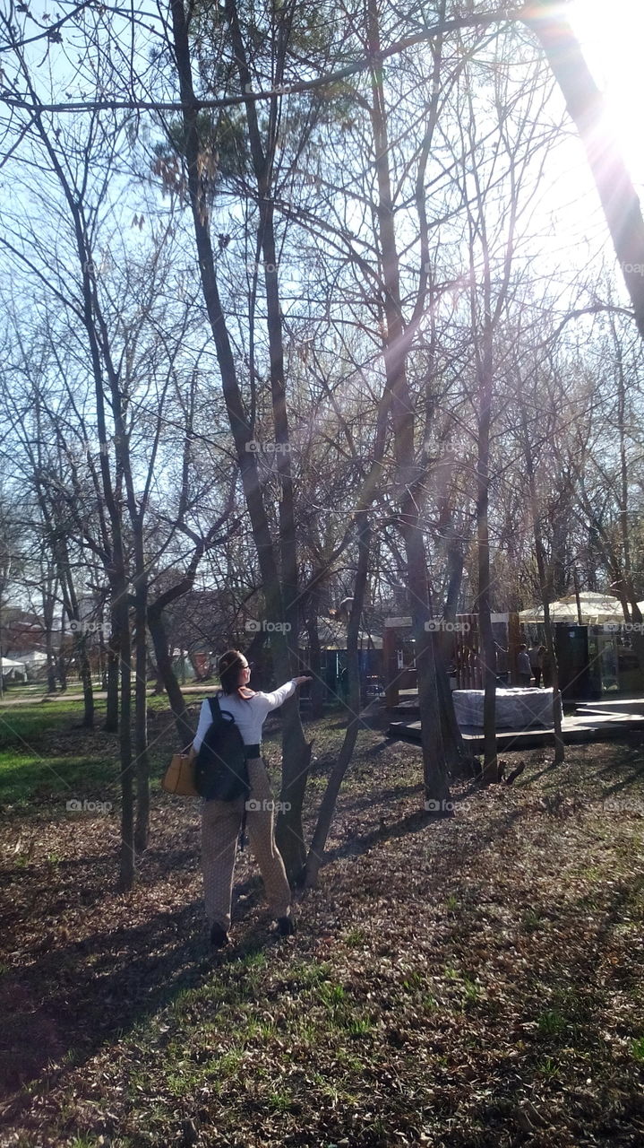 Squirrel in the park