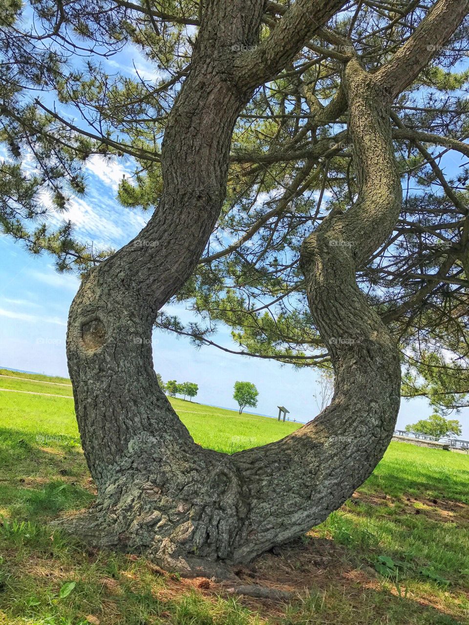 Sherwood Island State Park 