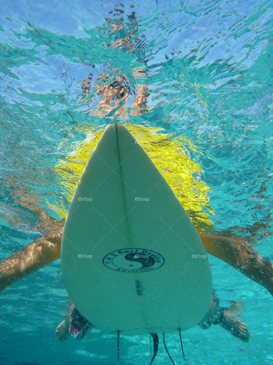 Fishes eye view