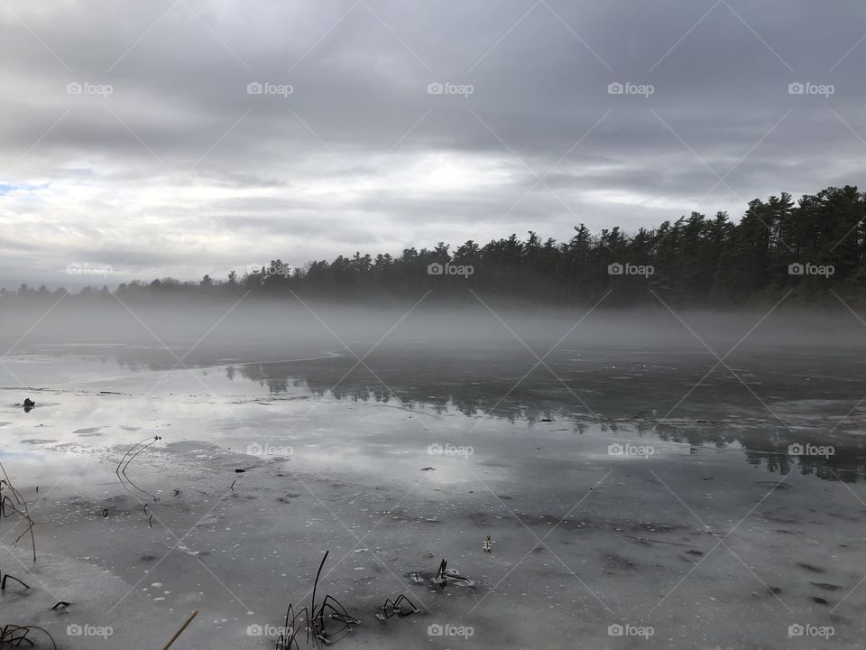 A bit of fog in the lake