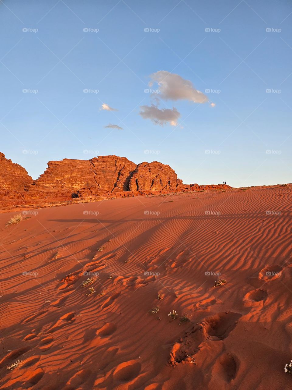 Desert in Jordan