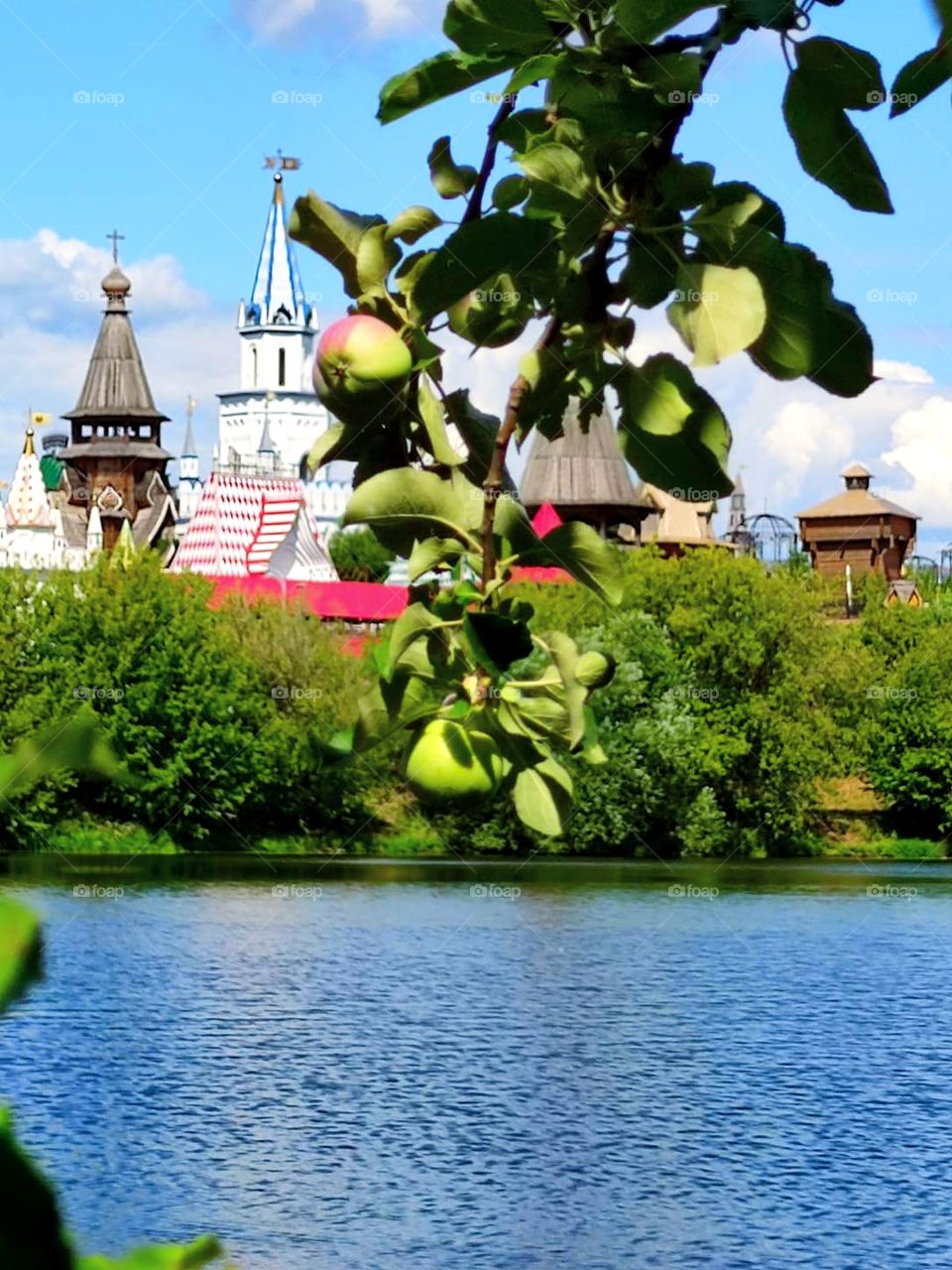 A branch of an apple tree with apples bent over the river.  In the background there is a river and domes of towers among green trees