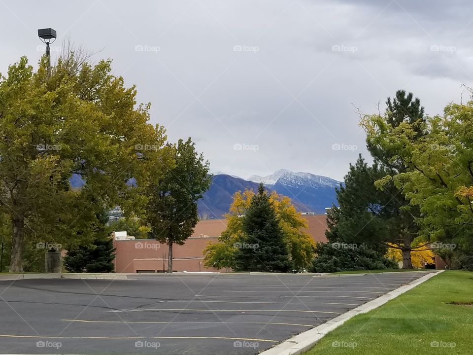 SLC