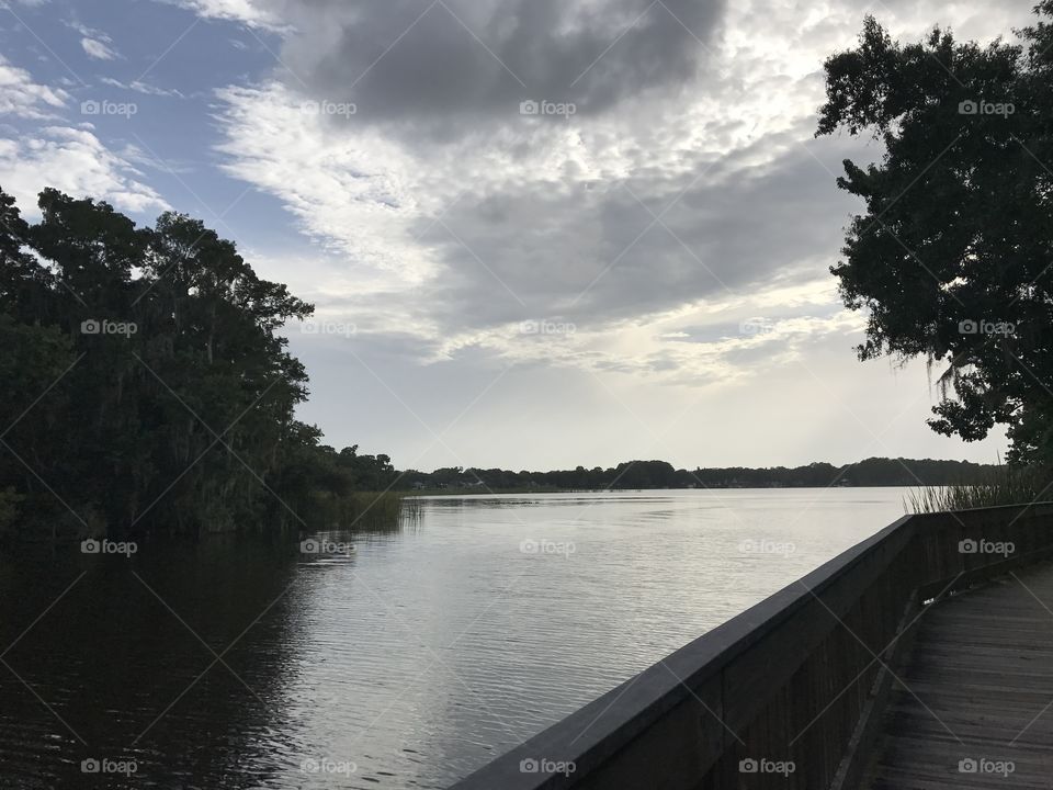 Tree, Lake, Water, River, Landscape