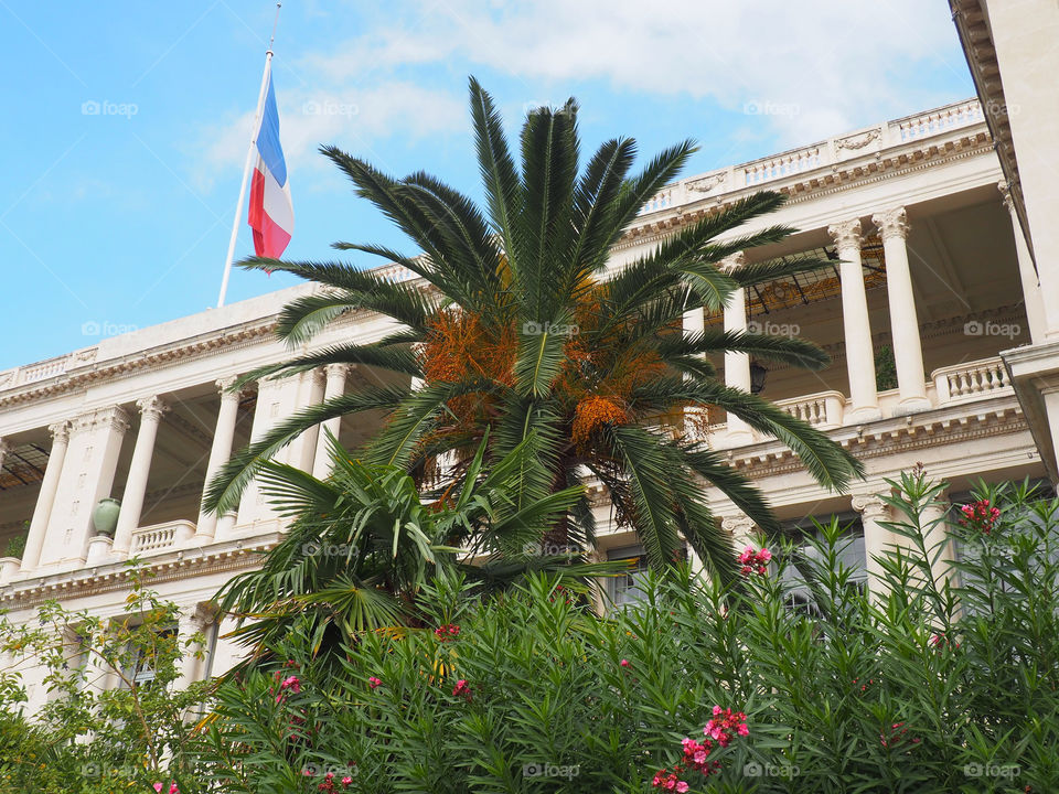 Palm tree and French flag at the old Prefecture building in the old town of Nice, France.