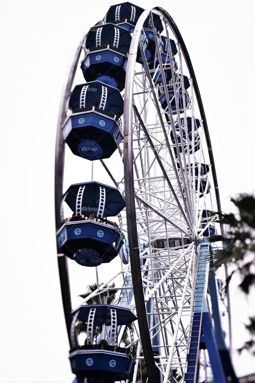 Downtown aquarium.... Houston Texas!!!! Ferris wheel.. 