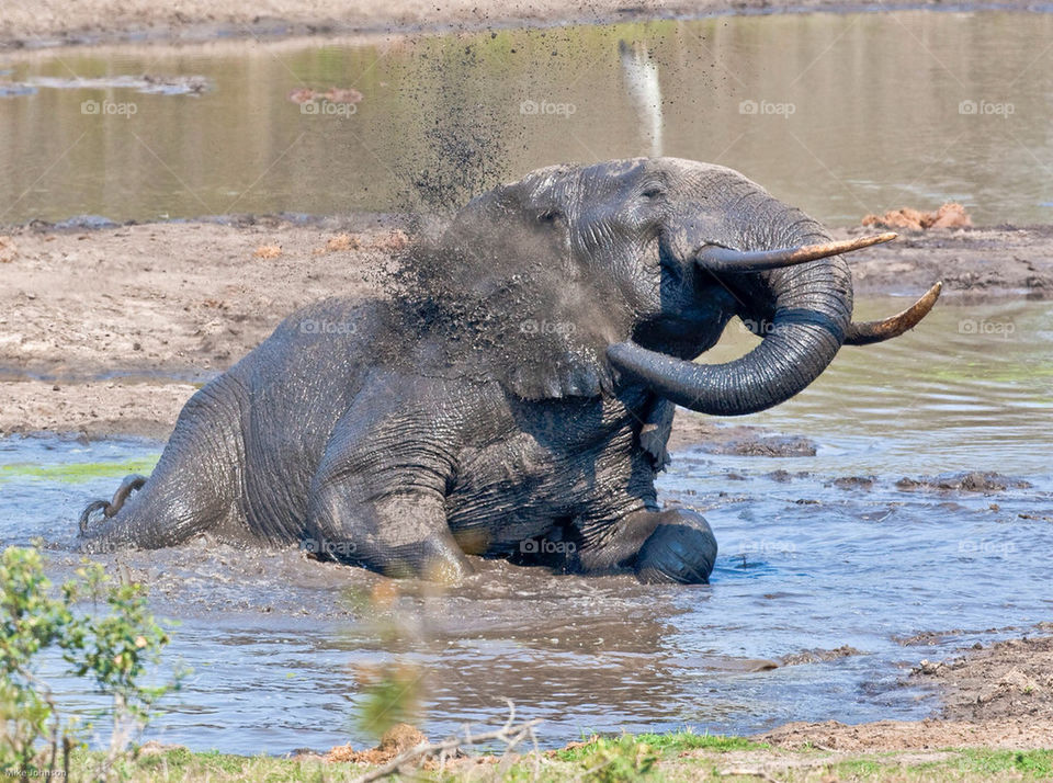 park swimming holiday five by mike007