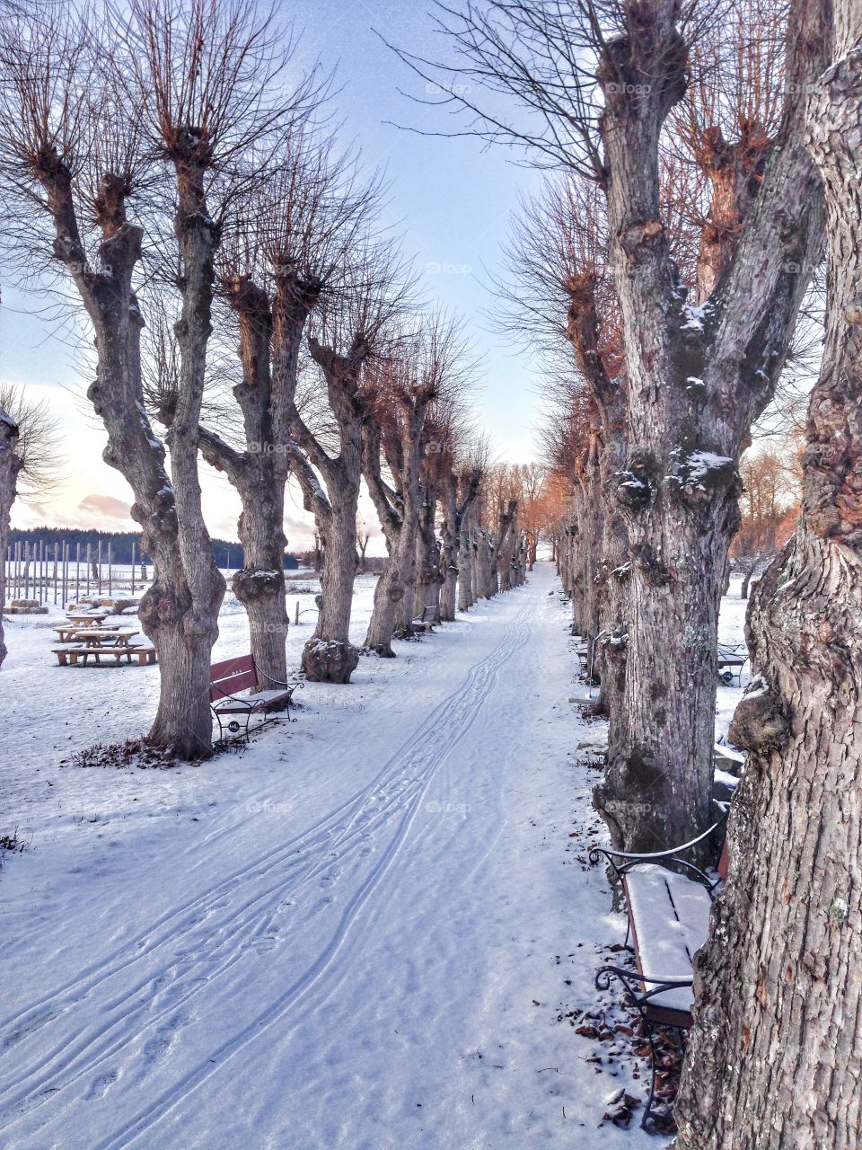 castle parkway in winter