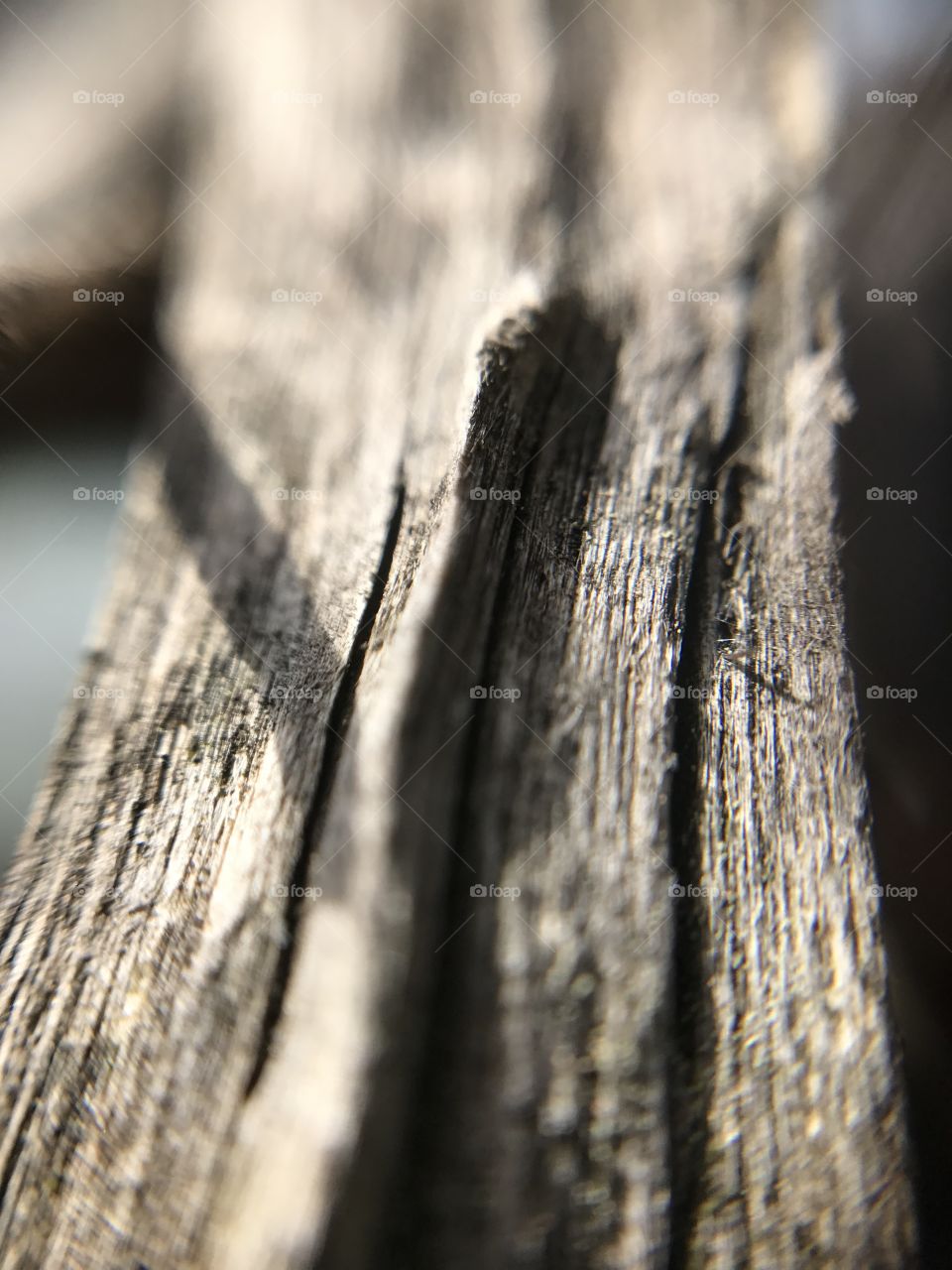 wood texture
