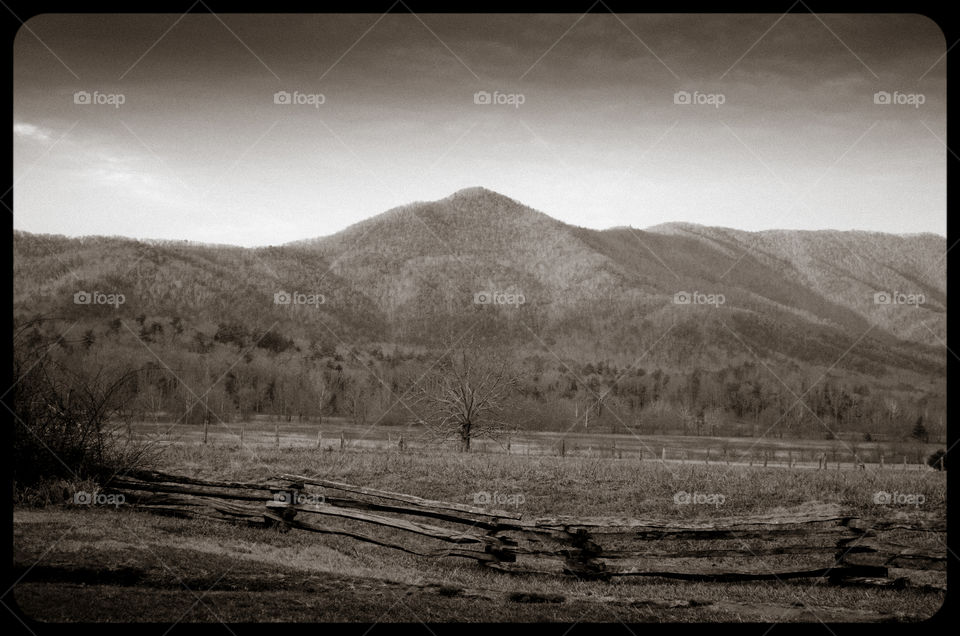 Cades Cove
