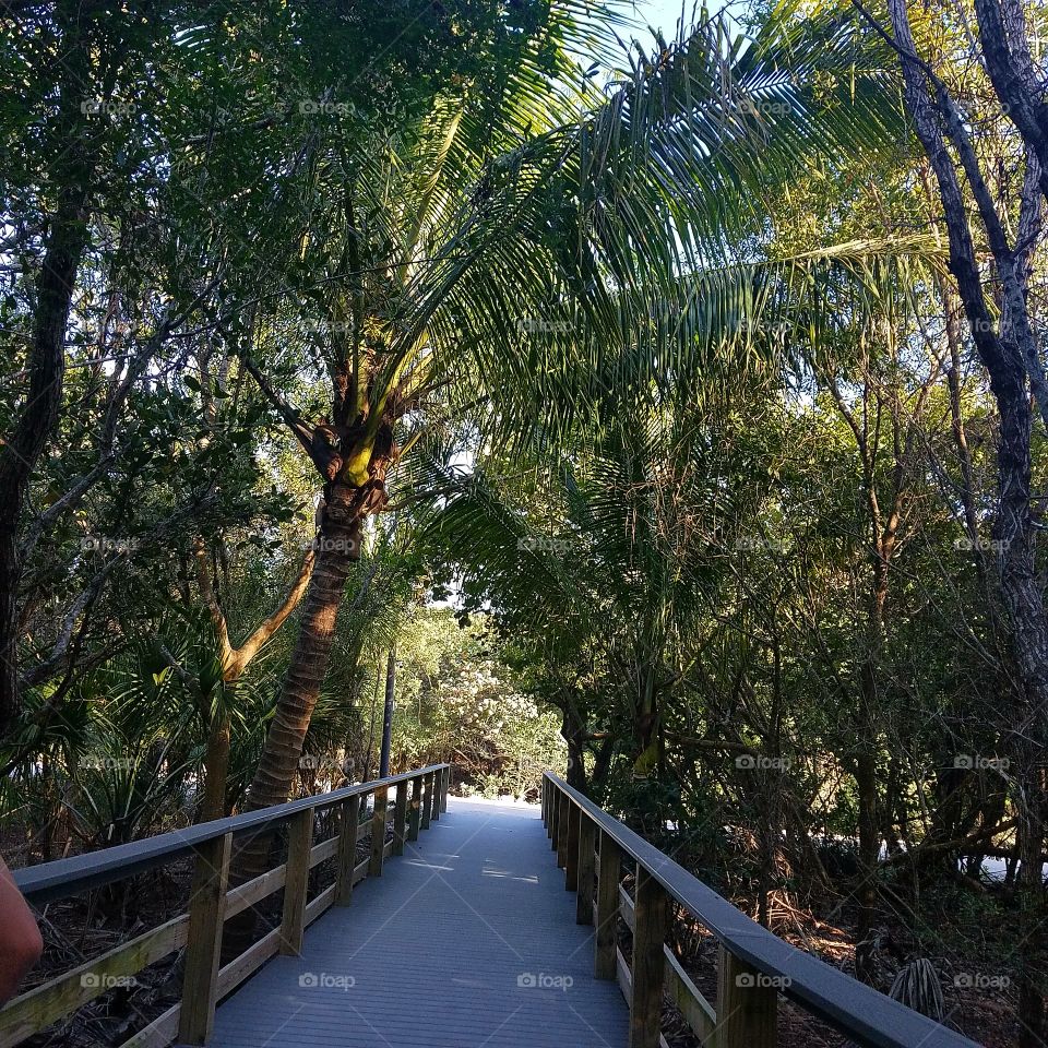 NATURE LOVER, SECRET PATH TO THE BEACH, WELCOME TO THE JUNGLE 🐍🌳🌻🍍🍄🌿🌊🍀🍁🌾🌷