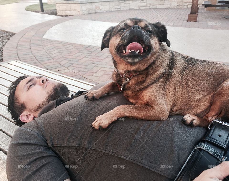 Man lying on bench with a dog