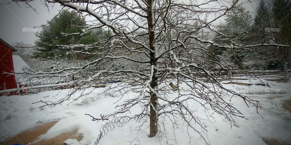 Fresh Snow Fall in March