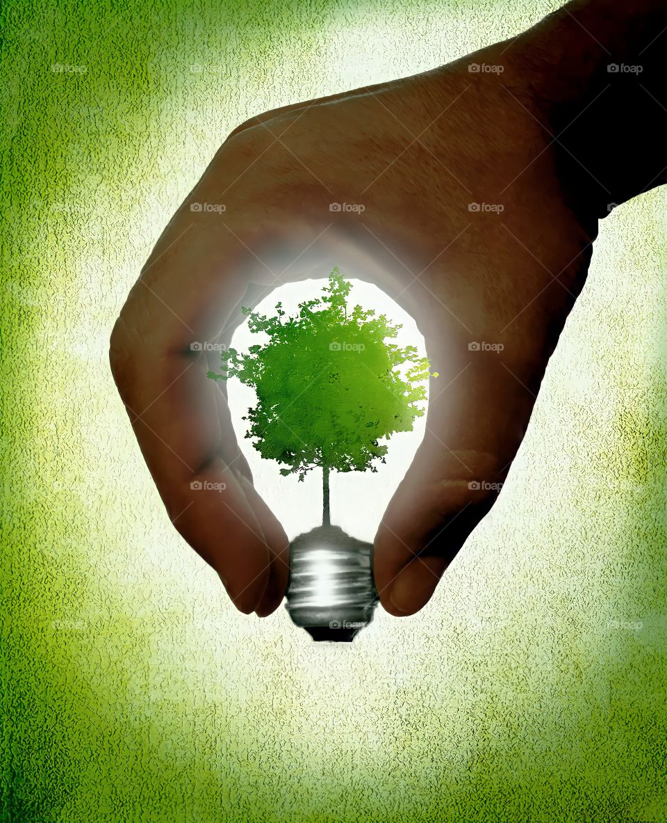 Hand creating a lightbulb with green tree - Ecology and life concept.