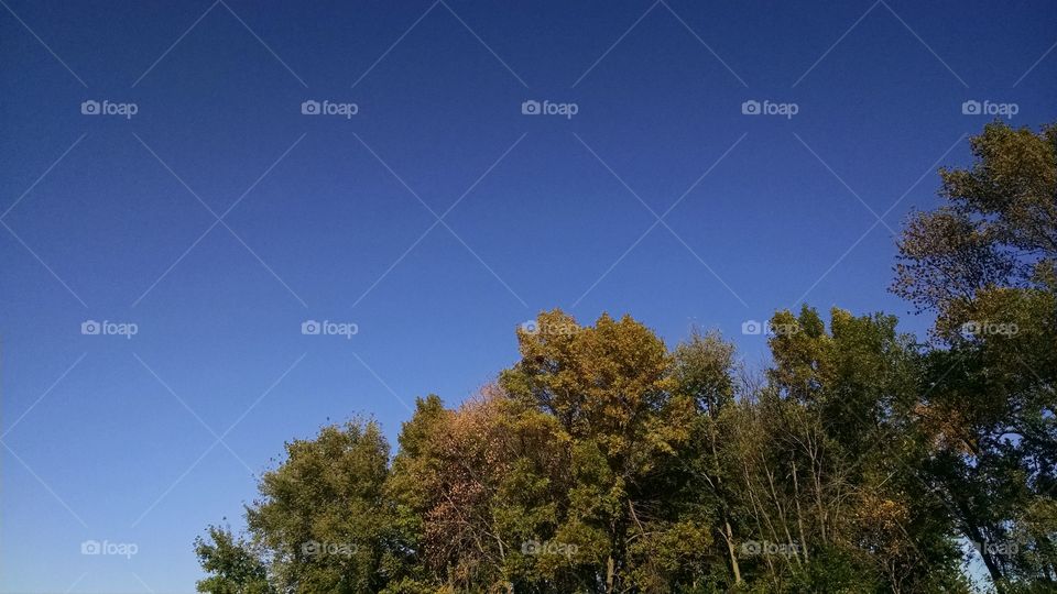 No Person, Tree, Nature, Sky, Outdoors