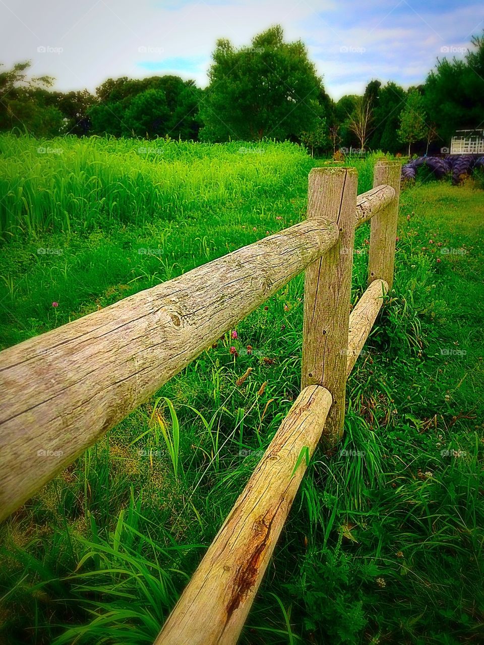 Don't fence me in...