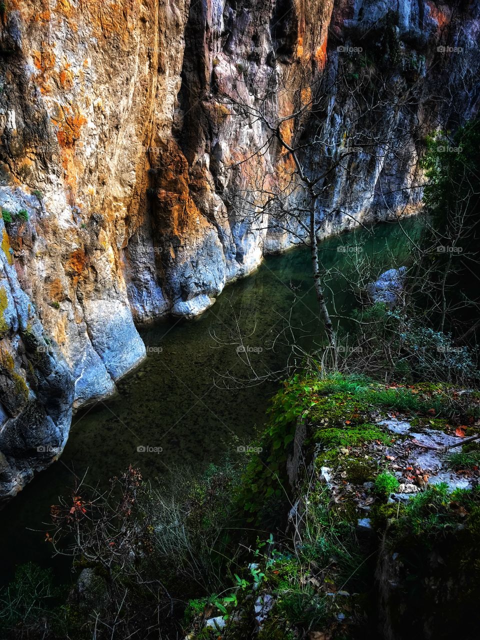 nature is come