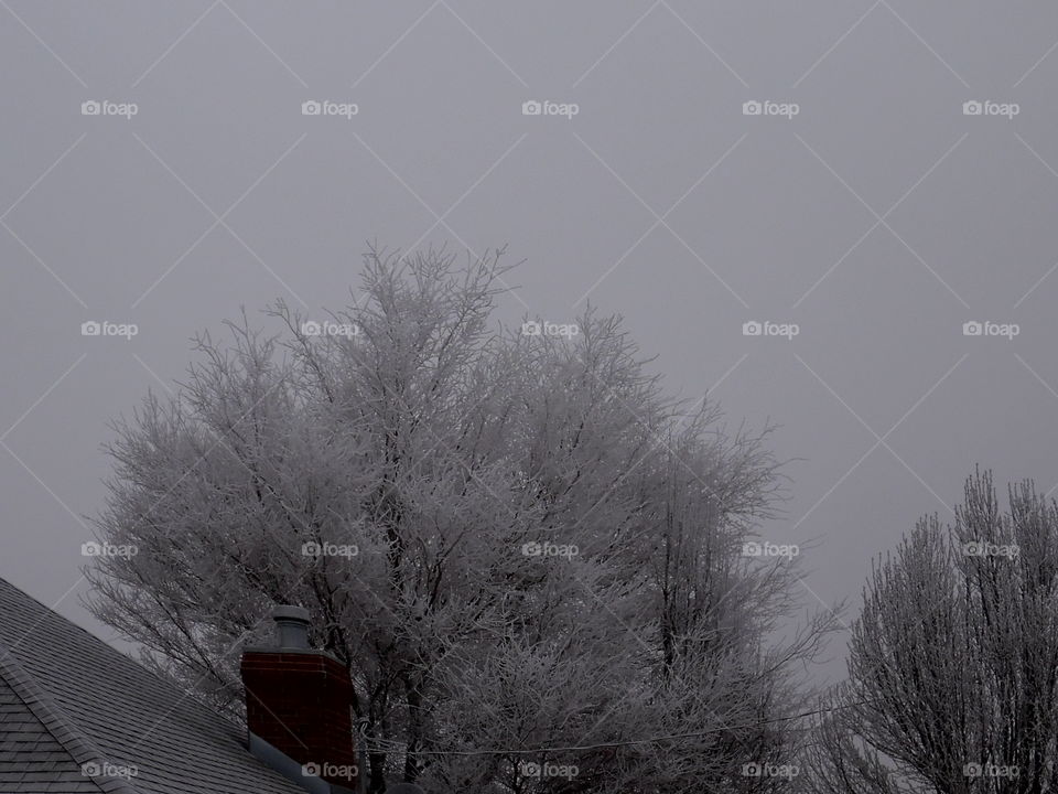 I really can't say, it's cold outside