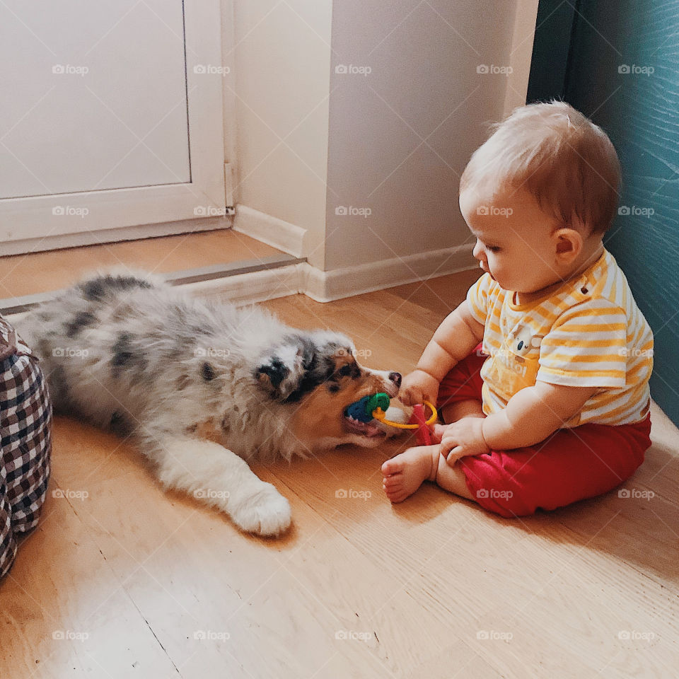 A child and a dog playing toys