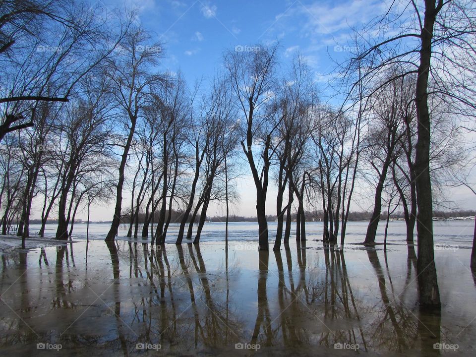 Spring flood of the river