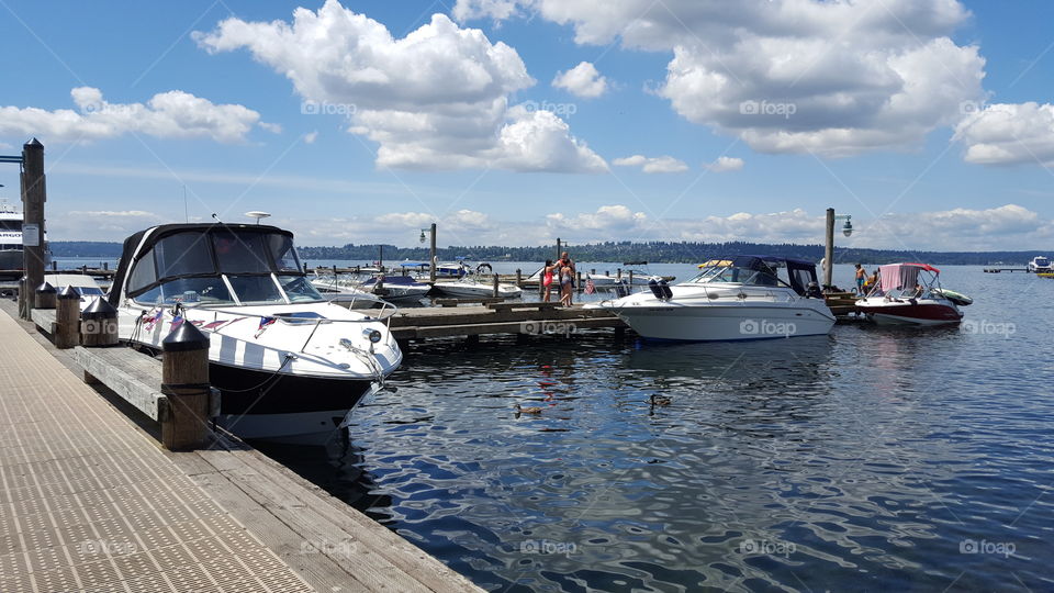 Kirkland marina