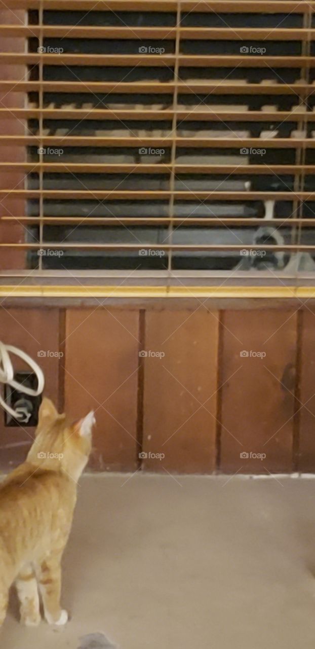 what is out there.... who is in there??