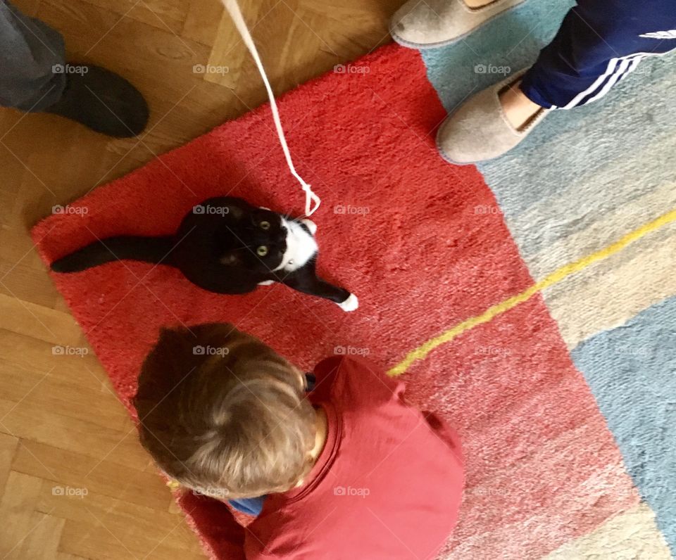 Cat unwilling to play with string