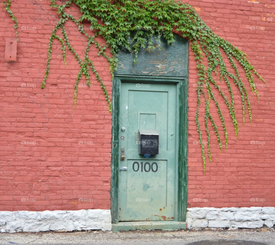 Door Ivy