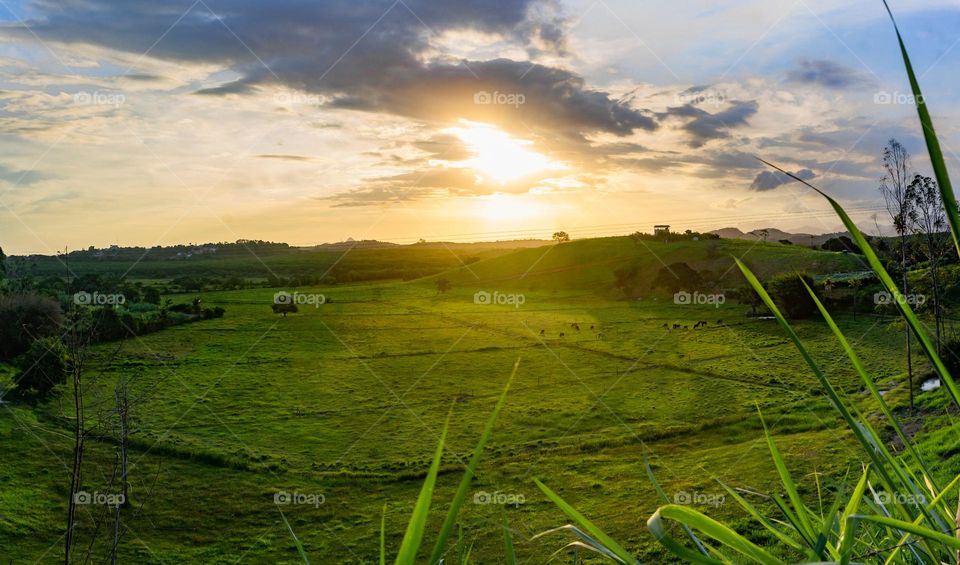 Brazilian rural landscape at dusk.