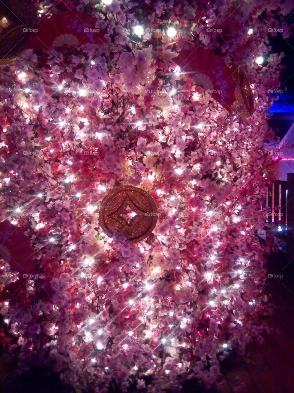 Như Ánh Sao đêm.