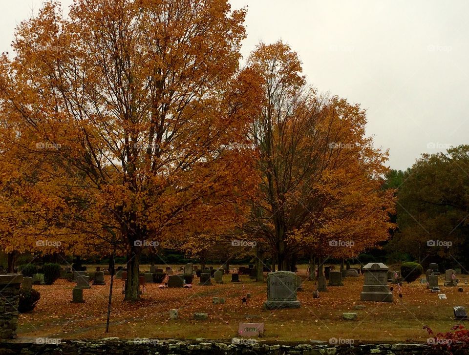 Massachusetts cemetery 