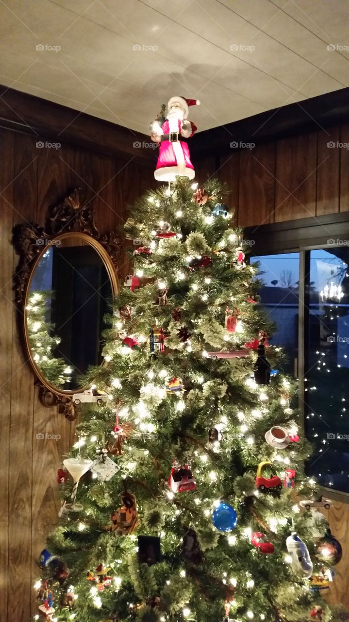 Family Christmas Tree . Lights on at Twilight 