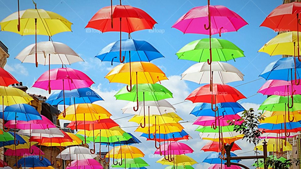 Sōshoku-hin, yoi jikan, nokia, bōeki