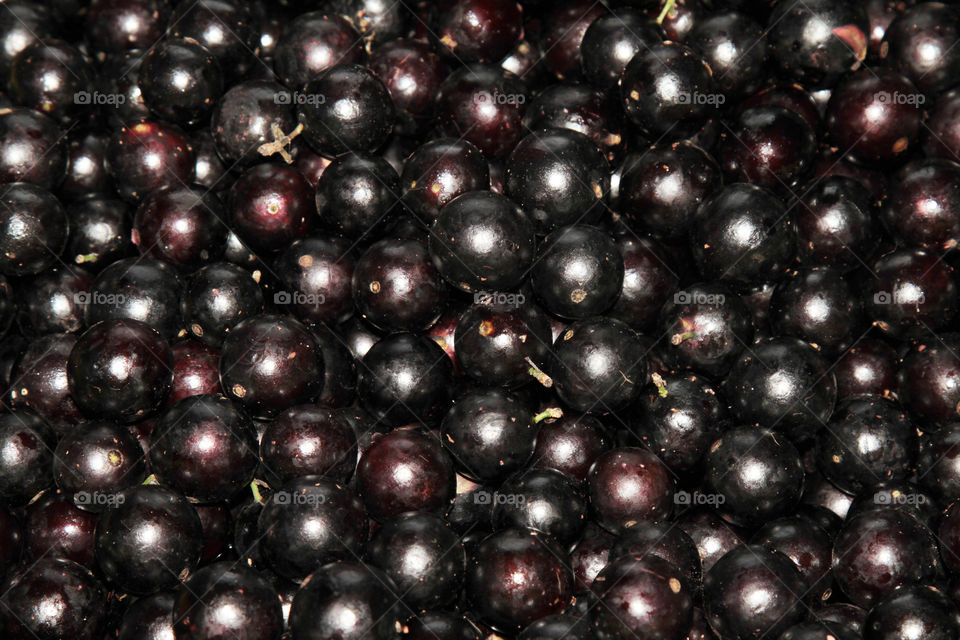jabuticaba