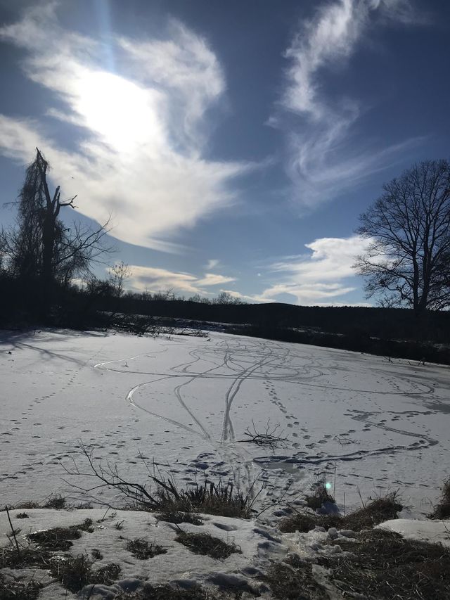 Frozen Pond