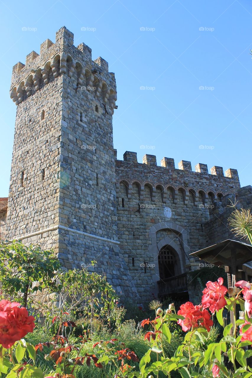 Castello de Amorosa